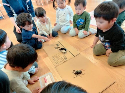 5月8日：おいしそうにゼリーを食べていたね！