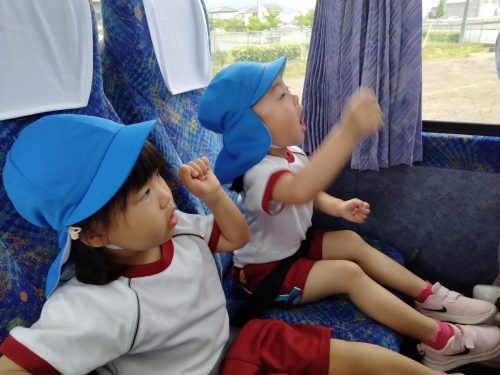 IMG20250516090758