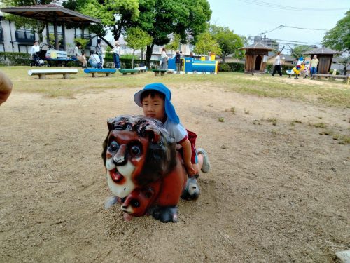 IMG20250516102909
