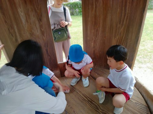 IMG20250516104402