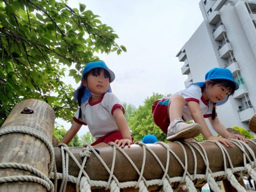 IMG20250516123105