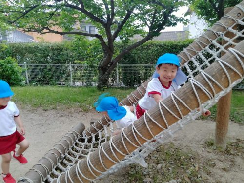 IMG20250516125443