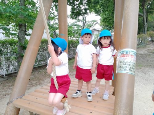 IMG20250516125633