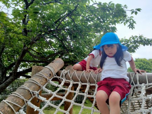 IMG20250516130113