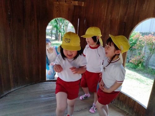 IMG20250523103956