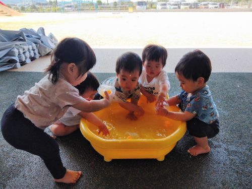 6月30日：氷が溶けてひよこさんが出てきたよ(o^―^o)