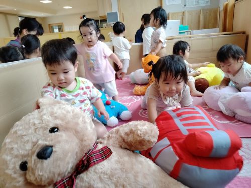 ８月８日：ぬいぐるみで遊んだよ。