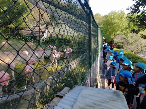 IMG20251107101617 (1)