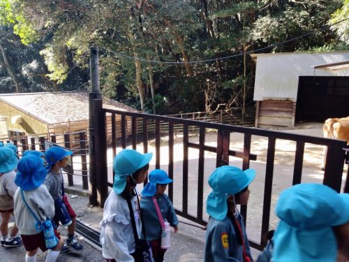 IMG20251107102637 (1)