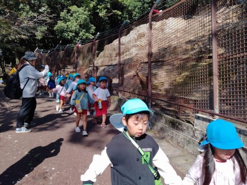 IMG20251107103833 (1)