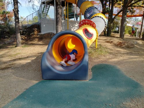 IMG20251107140611 (1)