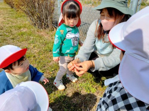 3月9日：つくしがたくさんあって春を感じれたね(⌒∇⌒)