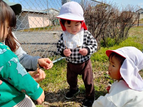 3月9日：みんなつくしを手にもってにこにこ笑顔(o^―^o)