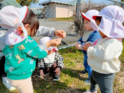 3月9日：緑地でつくしみーつけた(⌒∇⌒)