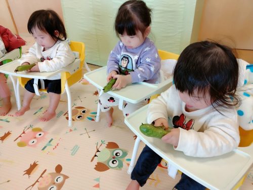 3月10日：ひよこ組さんもそらまめを開けてみたよ(*^▽^*)