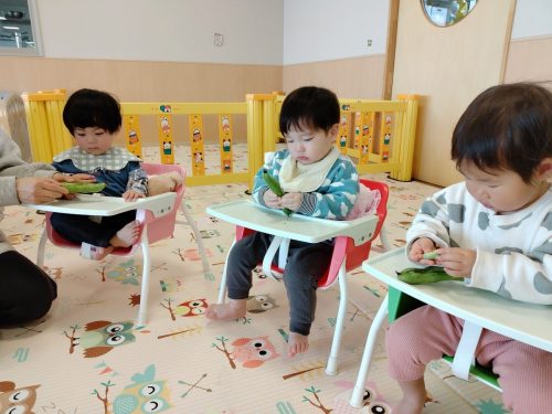 3月10日：中に入ってた豆をつまんでとれたよ（＾◇＾）