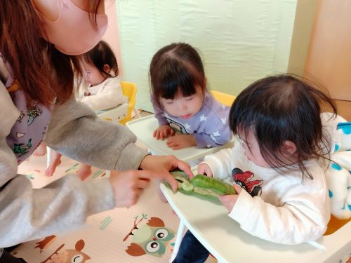 3月10日：そらまめの中を触ったよ♪フワフワしていて気持ちよかったね(⌒∇⌒)