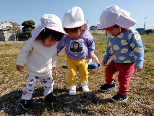 3月12日：散歩してたら足元につくしみーつけた♬
