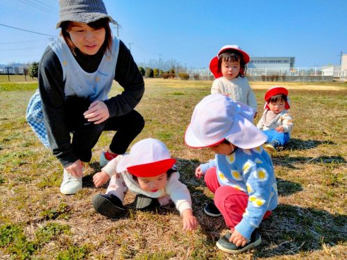 3月12日：緑地でみんなでつくし探しをしたよ(^▽^)/