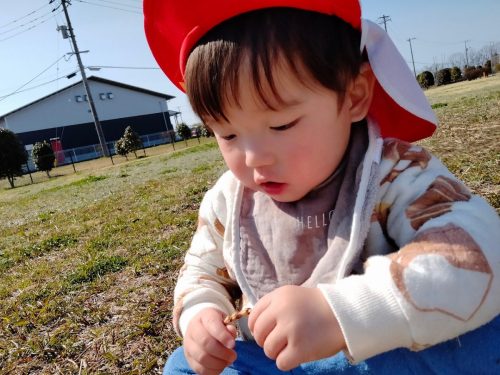 3月12日：つくしをいっぱい触ったよ(^^♪