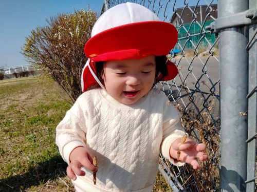 3月12日：こんなところにもつくしあったよ～ヾ(*´∀｀*)ﾉ