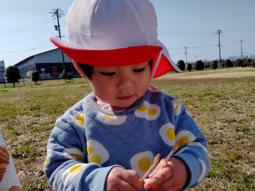 3月12日：前緑地へ行った時よりつくしがたくさんあって歩くたびに見つけたね(⌒∇⌒)