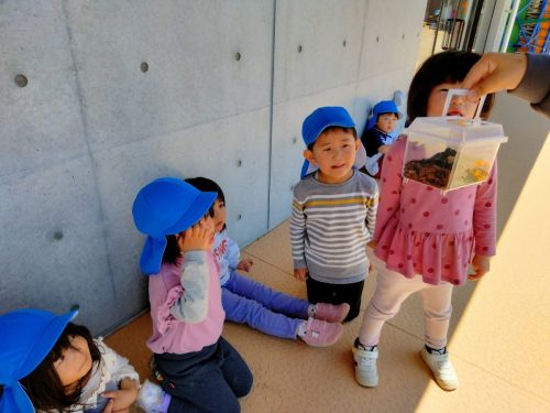 5月8日：もも組のお友達が持ってきてくれた、珍しいカブトムシを見せてもらいました！