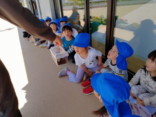 5月8日：「大きーい！！」と目を輝かせています♪