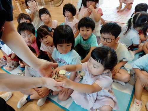 7月11日：みんなで少しずつ揉みます。