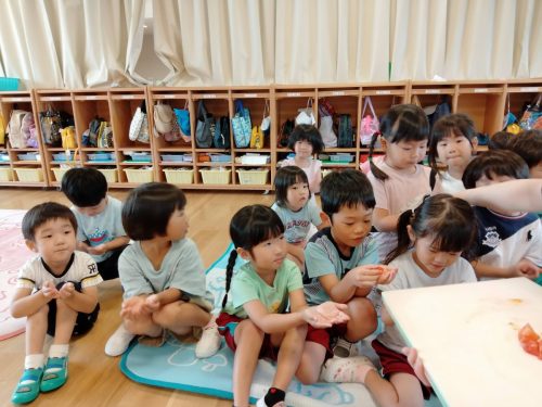 7月11日：少しずつ食べます！みんなで育てたからよりおいしいね♡