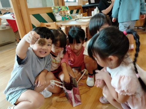 10月15日：お友達が持ってきてくれた「いがぐり」を触らせてもらいました。