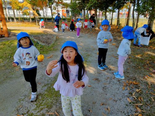 11月17日：カリンの実を見つけました。甘い匂いがしたね♪