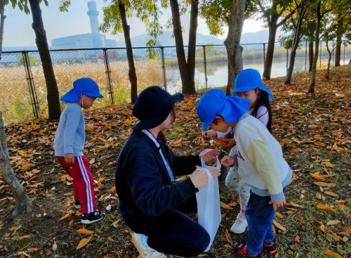 11月17日：ドングリもたくさん拾いました！