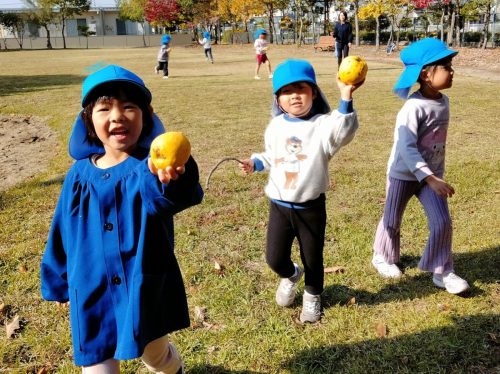 11月17日：カリンの実もたくさんあったね！