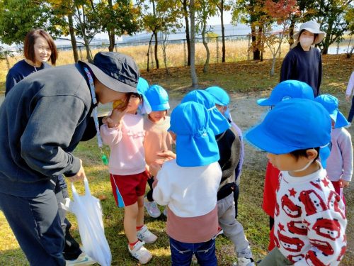 11月17日：「甘い匂いがするよ！」と教えてくれました。
