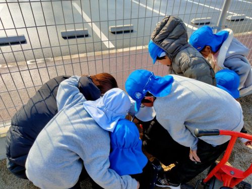 1月13日：頑張って生きている虫を見つけました。「そっとしておいてあげよ～」優しい言葉が聞こえてきました。