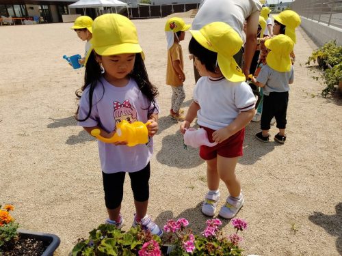 7月1日：お花に水やりをしました。