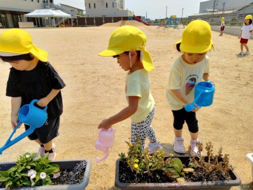 7月1日：「元気がない！このお花！」「こっちも水あげよ！」