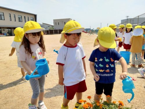 7月1日：上手に水やりをしてくれました☺