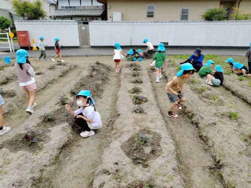 5月29日：そら組さん全員で協力して草抜きをすると綺麗になったね！