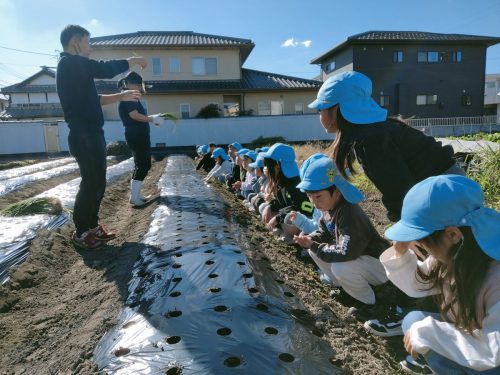 11月19日：畑に玉ねぎの苗を植えました。植え方の説明を聞いています。
