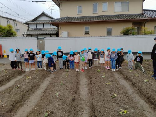 5月12日：大きくなったお芋を収穫できる日が待ち遠しいね。