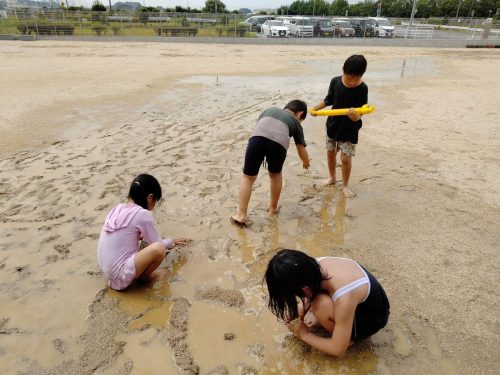 8月8日：泥を川に見立てて遊びました。